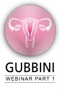 image_gub-Webinar_part1