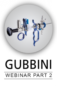 image_gub-Webinar_part2